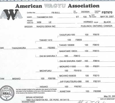 Takamichi Doi Pedigree